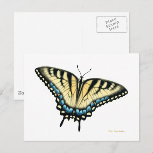 Tiger Swallowtail Butterfly Briefkaart (Voorkant / Achterkant)