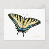 Tiger Swallowtail Butterfly Briefkaart (Voorkant)