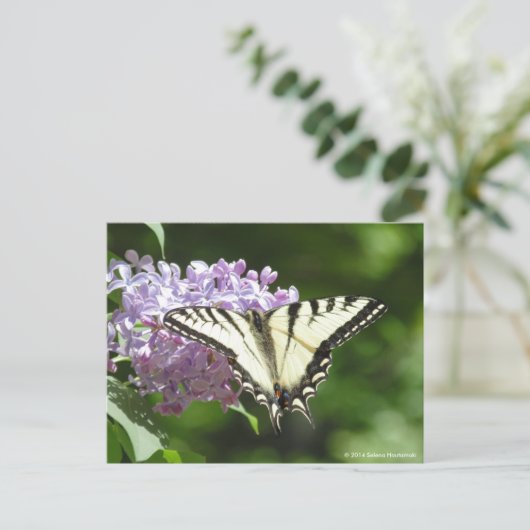 Tiger Swallowtail Butterfly Briefkaart (Staand voorkant)