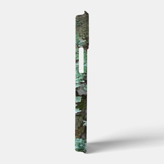 Tiger Swallowtail Butterfly Case-Mate iPhone Case (Achterkant / Rechts)