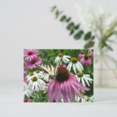 Tiger Swallowtail Butterfly Coneflower Briefkaart (Staand voorkant)