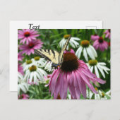 Tiger Swallowtail Butterfly Coneflower Briefkaart (Voorkant / Achterkant)