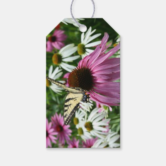 Tiger Swallowtail Butterfly Coneflower Gift Label Cadeaulabel (Voorkant)