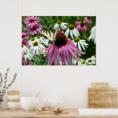 Tiger Swallowtail Butterfly Coneflower Poster (Keuken)