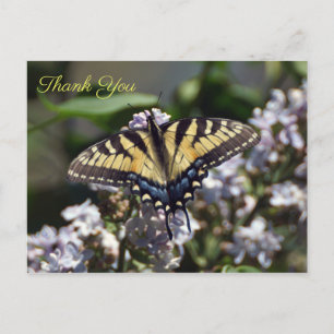 Tiger Swallowtail Butterfly Dank u Briefkaart