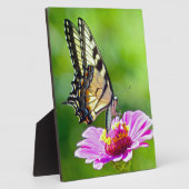 Tiger Swallowtail Butterfly Fotoplaat (Zijkant)