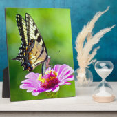 Tiger Swallowtail Butterfly Fotoplaat (Zijkant)