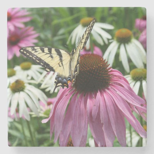 Tiger Swallowtail Butterfly Fower Stone Onderzette Stenen Onderzetter (Voorkant)