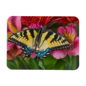 Tiger Swallowtail Butterfly Magneet (Horizontaal)