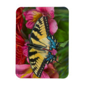 Tiger Swallowtail Butterfly Magneet (Verticaal)