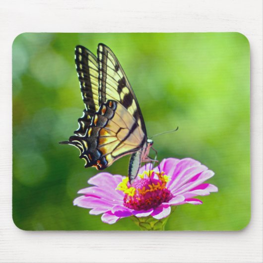 Tiger Swallowtail Butterfly Muismat (Voorkant)