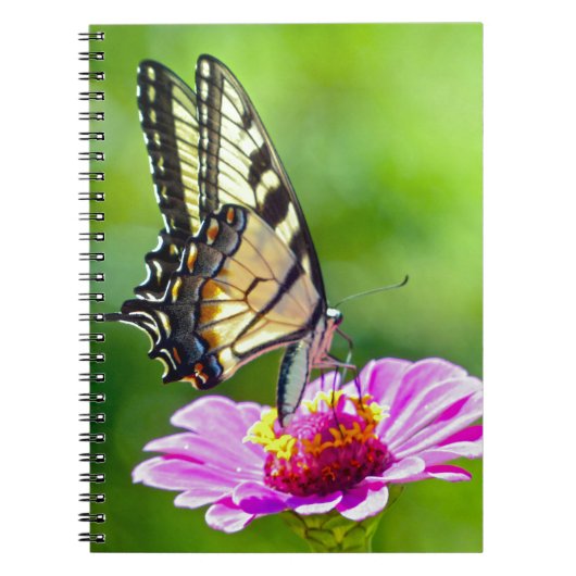 Tiger Swallowtail Butterfly Notitieboek (Voorkant)