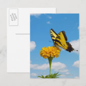 Tiger Swallowtail Butterfly op een trap Briefkaart (Voorkant / Achterkant)