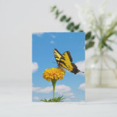 Tiger Swallowtail Butterfly op een trap Briefkaart (Staand voorkant)