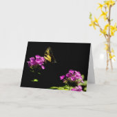 Tiger Swallowtail Butterfly op Phlox in Summer Kaart (Gele Bloem)