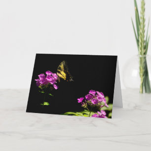 Tiger Swallowtail Butterfly op Phlox in Summer Kaart
