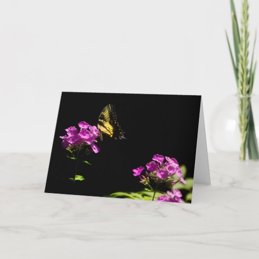 Tiger Swallowtail Butterfly op Phlox in Summer Kaart (Voorkant)