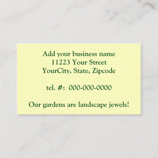 Tiger Swallowtail Butterfly op Phlox in Summer Visitekaartje (Achterkant)