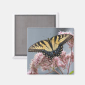 Tiger Swallowtail Butterfly op Roze bloem Magneet (Voorkant / Achterkant)