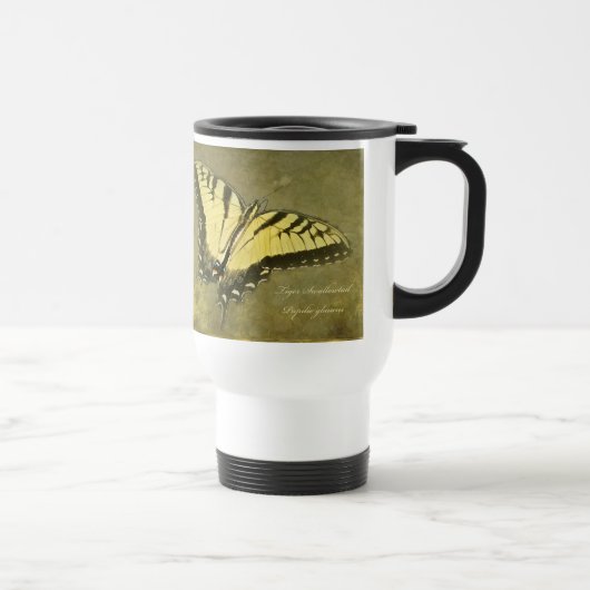 Tiger Swallowtail Butterfly - Papilio glaucus Reisbeker (Rechts)