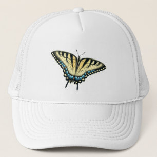 Tiger Swallowtail Butterfly Pet