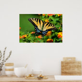 Tiger Swallowtail Butterfly Poster (Keuken)