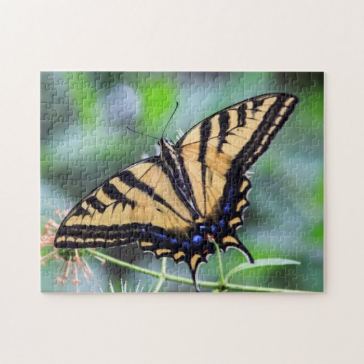 Tiger Swallowtail Butterfly Puzzle Legpuzzel (Horizontaal)