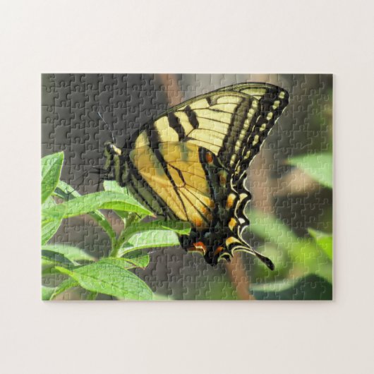 Tiger Swallowtail Butterfly Puzzle Legpuzzel (Horizontaal)