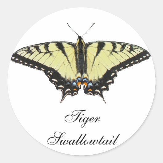 Tiger Swallowtail Butterfly Ronde Sticker (Voorkant)