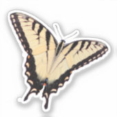 Tiger Swallowtail Butterfly Sticker (Voorkant)