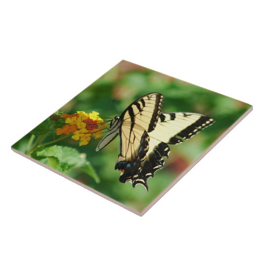 Tiger Swallowtail Butterfly Tegeltje (Zijkant)