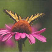 Tiger Swallowtail Custom-Cut Vinyl Sticker (Voorkant)