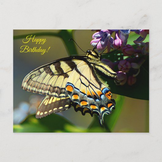 Tiger Swallowtail Happy Birthday Briefkaart (Voorkant)