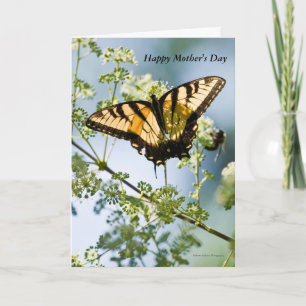 Tiger Swallowtail Moederdag Kaart