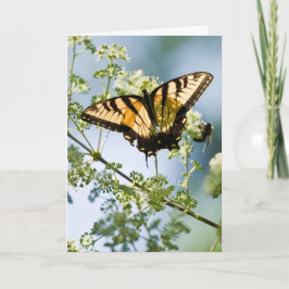 Tiger Swallowtail Moederdag Kaart