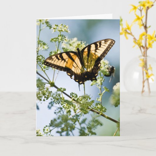 Tiger Swallowtail Moederdag Kaart (Gele Bloem)