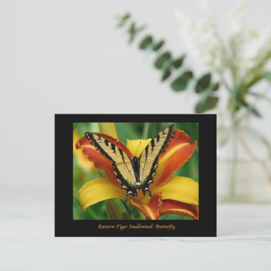 Tiger Swallowtail op Daylily Briefkaart (Staand voorkant)