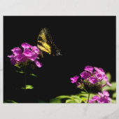 Tiger Swallowtail op Phlox (Achterkant)