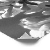 Tiger Swallowtail Poster (Hoek)