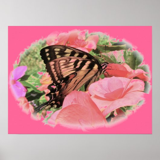 Tiger Swallowtail Poster (Voorkant)