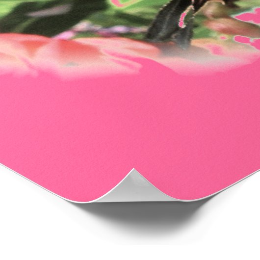 Tiger Swallowtail Poster (Hoek)