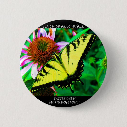 Tiger Swallowtail Ronde Button 5,7 Cm (Voorkant)