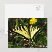 Tiger Swallowtail-wingel Briefkaart (Voorkant / Achterkant)