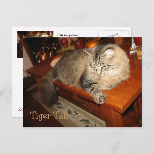 Tiger Tail Briefkaart (Voorkant / Achterkant)