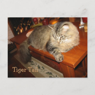 Tiger Tail Briefkaart