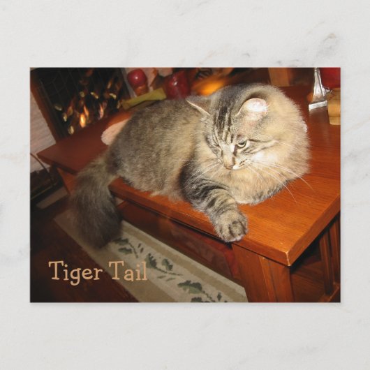 Tiger Tail Briefkaart (Voorkant)