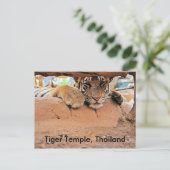 Tiger Temple Briefkaart (Staand voorkant)