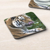 Tiger Tongue Drankjes Onderzetter (Linkerzijde)