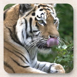 Tiger Tongue Drankjes Onderzetter