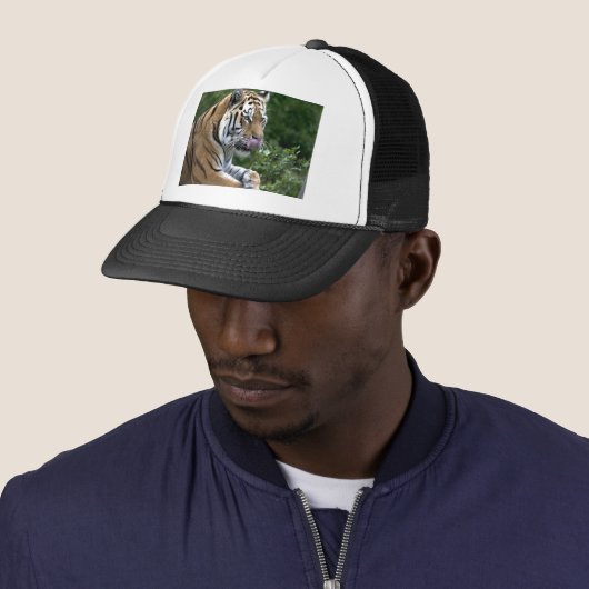 Tiger Tongue Trucker Pet (In situ)